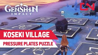 Koseki Village Puzzle Genshin Impact  Seirai Island Pressure Stone Plates [upl. by Ahsenat113]