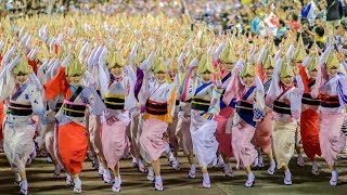 阿波おどりファン必見！徳島市阿波おどり総踊り！！踊り子さんの笑顔がすてき！ Awaodori in Tokushima Japan [upl. by Bevash117]