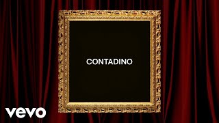 Articolo 31  CONTADINO Lyric Video [upl. by Ellehcal662]