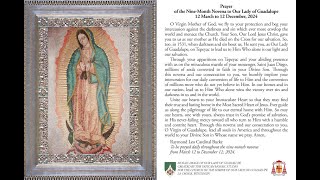 Cardinal Burke Day 2 9 Month Novena To Our Lady of Guadalupe Prayer With Ave Maria Background Music [upl. by Verger925]