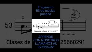 Fragmento 53 de música puneña [upl. by Ahsyekat]