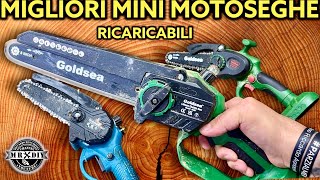 Migliore mini motosega potente con oliatore automatico ricaricabile brushless potatore goldsea 21V [upl. by Admana]