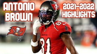 Antonio Brown 20212022 Highlights [upl. by Esnahc]