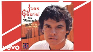 Juan Gabriel  Te Llegará Mi Olvido Cover Audio [upl. by Enidualc]