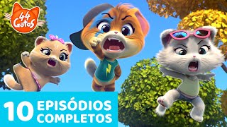 44 Gatos  Latinoamérica  10 Episodios Completos 🧶🐈  Gatástica Colección de la Temporada 1 2 [upl. by Bardo]