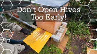 Don’t open beehives too early  Checking on food  March beekeeping [upl. by Pudendas721]