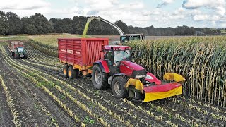 Mais Silage  Claas Jaguar 850  John Deere  Fendt  Schimmel Overberg  2021 [upl. by Rodie]