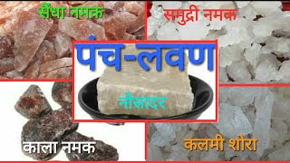 पंचलवण  पांच नमक की पहचान  INTRODUCTION OF 5 SALTS [upl. by Kandy]