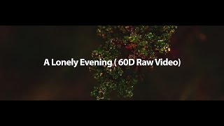 A Lonely Evening  60D Raw Video Magic lanterns Nightly Build MLV Raw 20 II Aditya Varma [upl. by Suiluj]