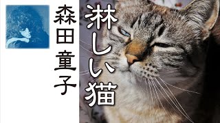 淋しい猫 Lonely Cat ： 森田童子 Morita Doji [upl. by Ahsaf]