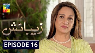 Zebaish Episode 16 HUM TV Drama 25 September 2020 [upl. by Neelyam]