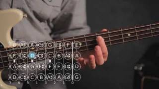 Basic Note Patterns  Bass Guitar [upl. by Pinette638]