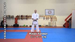 Okinawa Karatedo Shorinryu Seijitsu Shin Do Kan Kyokai Kata Sample Video [upl. by Wilser]