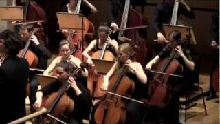 Brahms Symphony no4 movement 3 [upl. by Amorette]