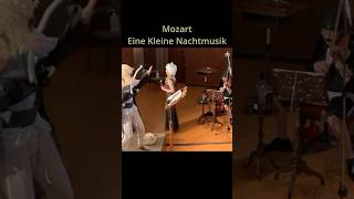 Mozart Eine Kleine Nachtmusik 26 new6strings shorts [upl. by Dominga673]