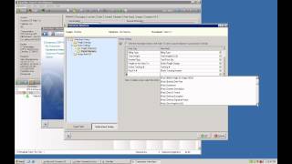 Shipping Software How To Customize StarShips Interface Using ERP Data [upl. by Kirsch652]