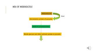 MOA of Mebendazole [upl. by Falkner]