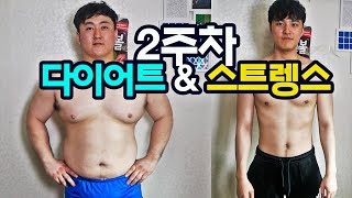 합숙2주차 시작 일주일만에 인바디 변화가 다이어트amp스트렝스 [upl. by Davide]