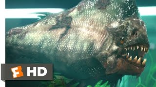 Catfish VS Carp in Tank really Fast and Furious by Catfish World [upl. by Etsirhc]