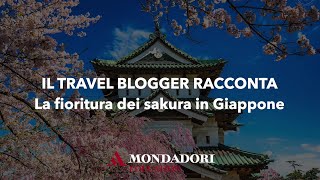 Il travel blogger racconta  La fioritura dei sakura in Giappone [upl. by Inanuah416]