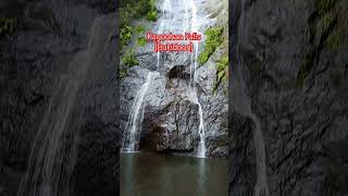 KAGOOHAN FALLS kagoohanfalls BUKIDNONTRAVEL shortvideoviral jeicampz [upl. by Pollak]