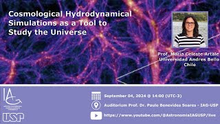 Cosmological Hydrodynamical Simulations as a Tool to Study the Universe [upl. by Largent48]