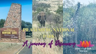 Discover the Beauty of Pilanesberg National Park A Journey for the African Diaspora 🦓🦏🐘 [upl. by Rori]