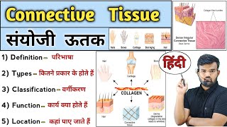 संयोजी ऊतक  Connective Tissue  Anatomy and Physiology  Connective tissue in Hindi  Tissue notes [upl. by Milstone]