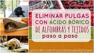 Eliminar pulgas Cómo aplicar el ácido bórico en alfombras y tejidos [upl. by Berry684]