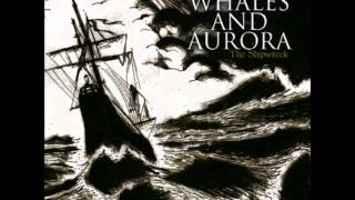 Whales and Aurora  Abandoned Among Echoes [upl. by Izzy]