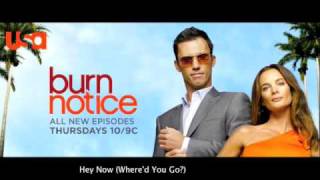 Burn Notice  quotHey Now Whered You Go quot  Jesse Glick [upl. by Aisatna]