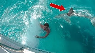 SHARK PRANK WENT REAL [upl. by Enoyrt]