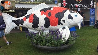 Holland Koi Show  Arcen 2017 [upl. by Ecnedac]