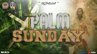 Palm Sunday English Mass  ගොබ් ඉරුදින 24th March 2024 [upl. by Atnohs]