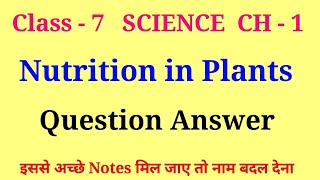 nutrition in plants class 7 questions and answers  class 7 science chapter 1 question answer [upl. by Rephotsirhc]