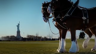 Greatest Super Bowl Commercials Ever Made  Budweiser Clydesdales 911 Tribute [upl. by Erehs]