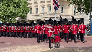 Troops and Massed Bands Enter Horse Guards Parade For Trooping the Colour [upl. by Ciccia]