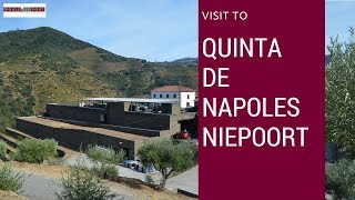 Niepoort  Quinta de Napoles Famous Quintas of the Douro 4 [upl. by Litsyrk303]