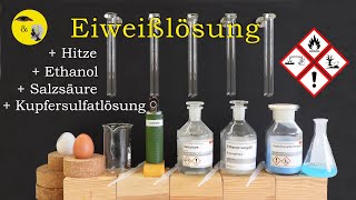 Eiweißlösung  Hitze  Salzsäure  Ethanol  Kupfersulfatlösung [upl. by Dronski367]