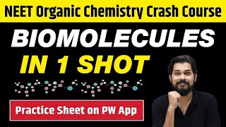 BIOMOLECULES in One Shot  All Concepts Tricks amp PYQs  Class 12  NEET [upl. by Wat]