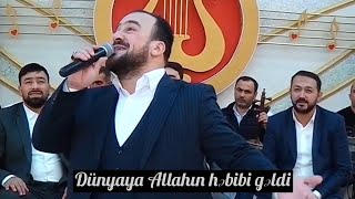 Seyyid Taleh Boradigahi  Allahin Hebibi  yeni negme 2019 [upl. by Annaej]