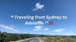 ADELAIDE travel vlog fyp foryou viralvideo trending [upl. by Aldarcy]