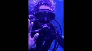 Experience Scuba Diving in Chennai at VGP Marine Kingdom [upl. by Schaeffer]