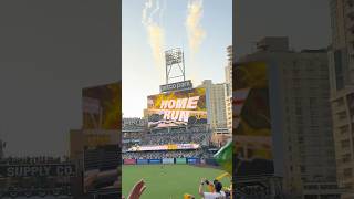 My View of Tatis Jr’s MASSIVE HR Last Night padres baseball mlb playoffs sports viral [upl. by Omero]