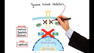 Pharmacology  CANCER DRUGS – CELL CYCLE INHIBITORS MADE EASY [upl. by Aronoel]