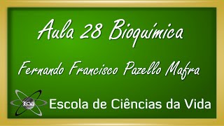 Bioquímica Aula 28  Bioenergética  Parâmetros termodinâmicos [upl. by Aicirtap]