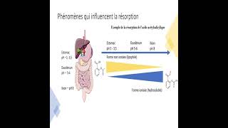 Cours Pharmacologie S6  Pharmacocinétique [upl. by Hadley]