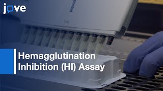 Hemagglutination Inhibition HI Assay to Quantify Influenza Antibodies [upl. by Adamik]