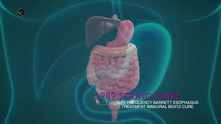 RIFE FREQUENCY BARRETT ESOPHAGUS TREATMENT BINAURAL BEATS CURE [upl. by Airuam445]