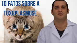 10 coisas que você precisa saber sobre a toxoplasmose em gatos [upl. by Imefulo220]